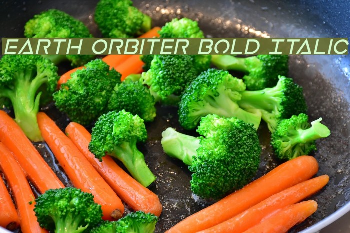 Earth Orbiter Bold Italic Font examples