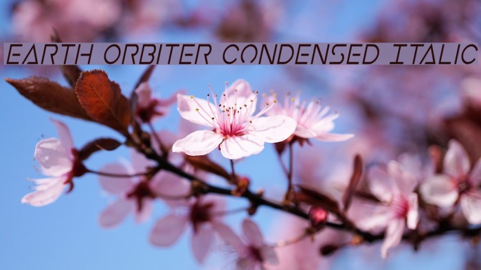 Earth Orbiter Condensed Italic Font examples