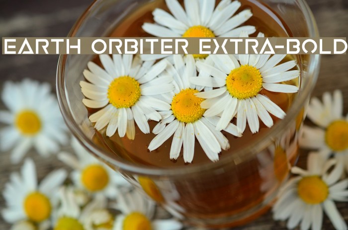 Earth Orbiter Extra-Bold Example 1