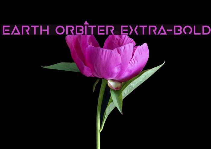 Earth Orbiter Extra-Bold Example 3