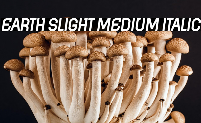 Earth Slight Medium Italic Example 2