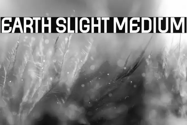 Earth Slight Medium Font examples