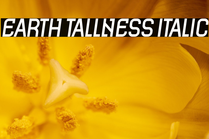 Earth Tallness Italic Example 2