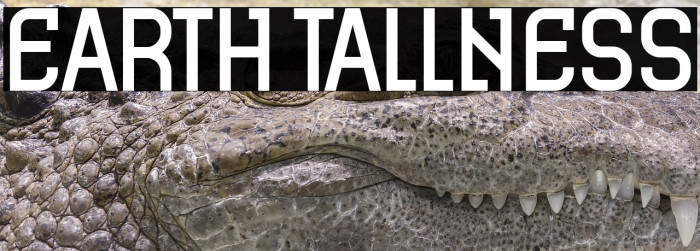 Earth Tallness Example 3