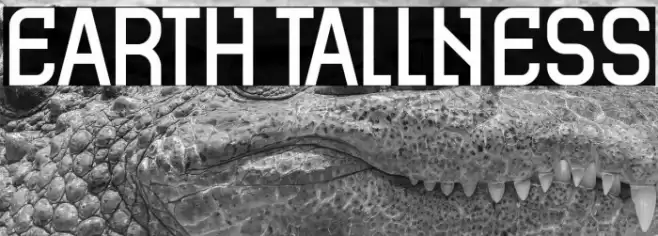 Earth Tallness Font examples