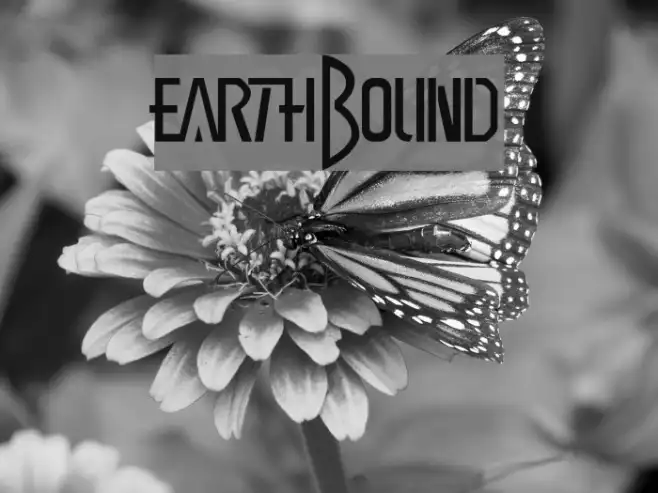 EarthBound Example 3