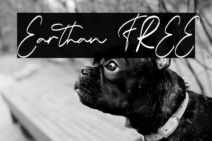 Earthan FREE Example 3