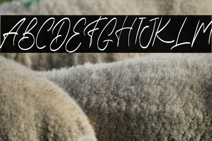 EarthanFREE Example 1