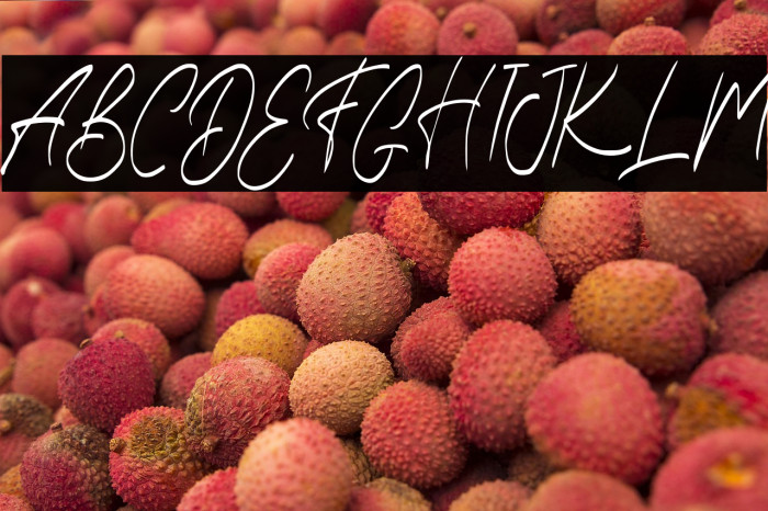 EarthanFREE Example 2