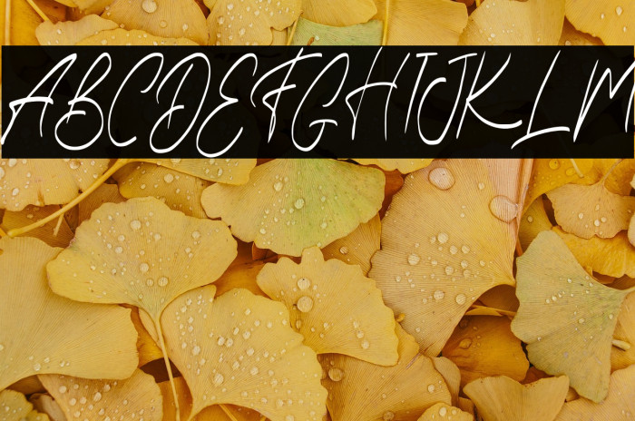 EarthanFREE Example 3