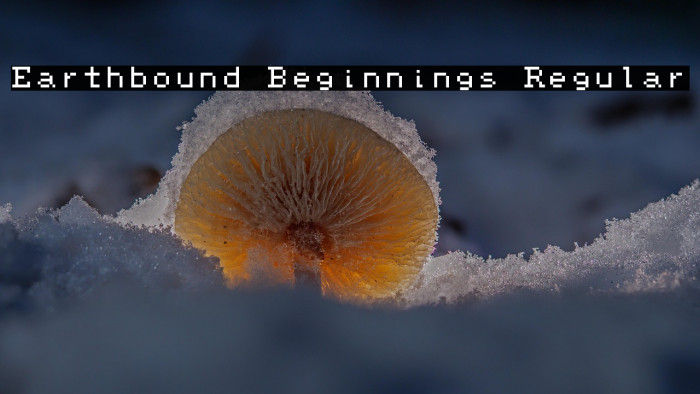 Earthbound Beginnings Regular Example 1