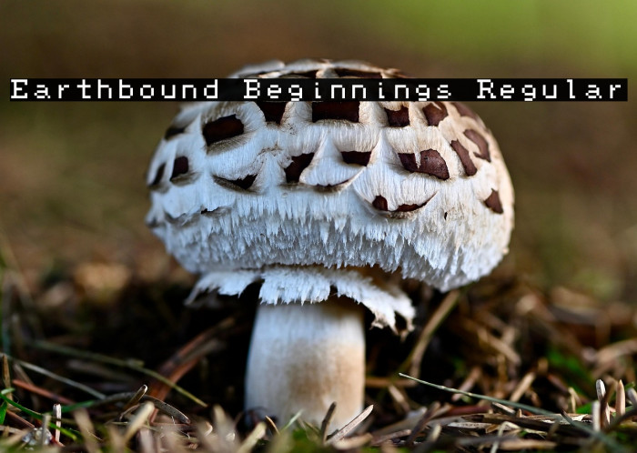 Earthbound Beginnings Regular Example 3