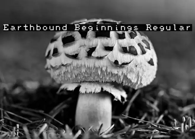 Earthbound Beginnings Regular Example 3