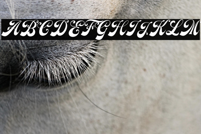 Earthgate DEMO Example 1