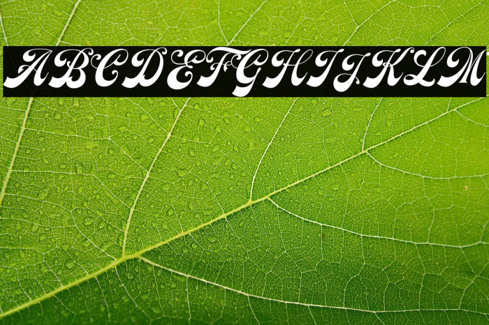 Earthgate DEMO Example 2