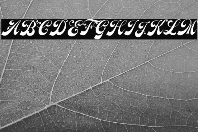Earthgate DEMO Example 2