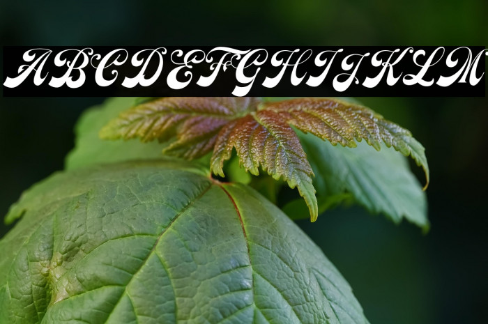 Earthgate DEMO Example 3