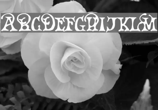Earthpig Demo Шрифта examples