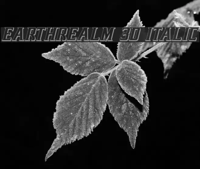 Earthrealm 3D Italic Font examples