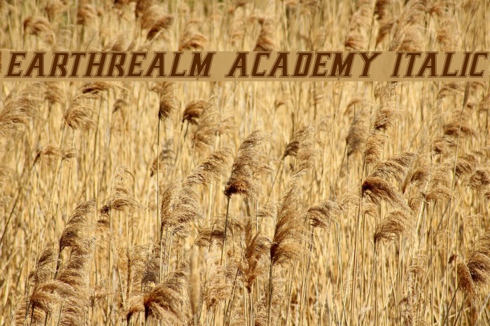Earthrealm Academy Italic Font examples