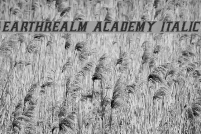 Earthrealm Academy Italic Font examples