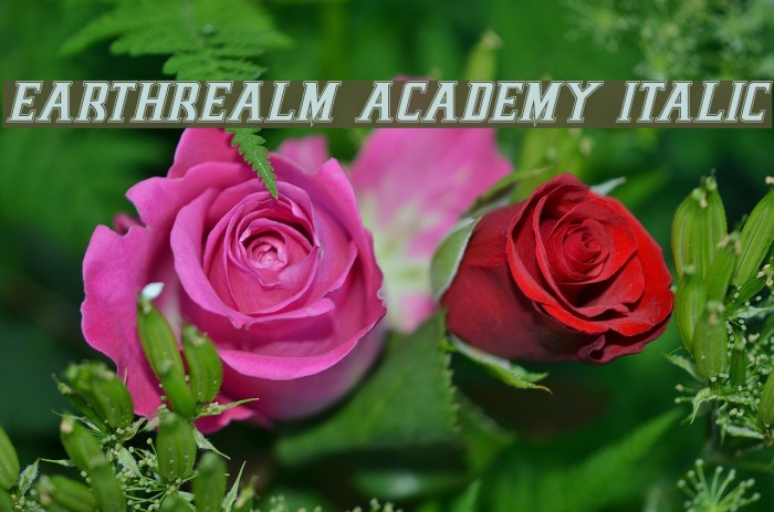 Earthrealm Academy Italic Font examples