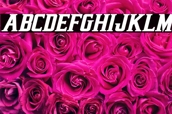 Earthrealm Bold Italic Example 1