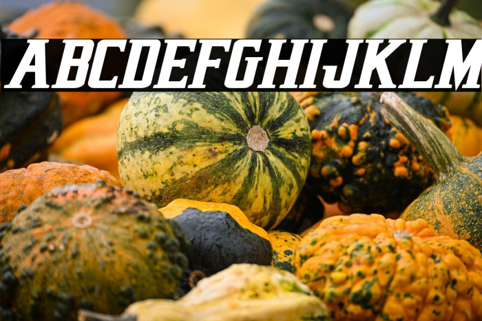 Earthrealm Bold Italic Example 3