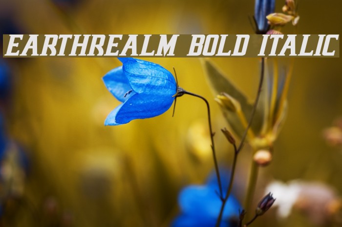 Earthrealm Bold Italic Font examples