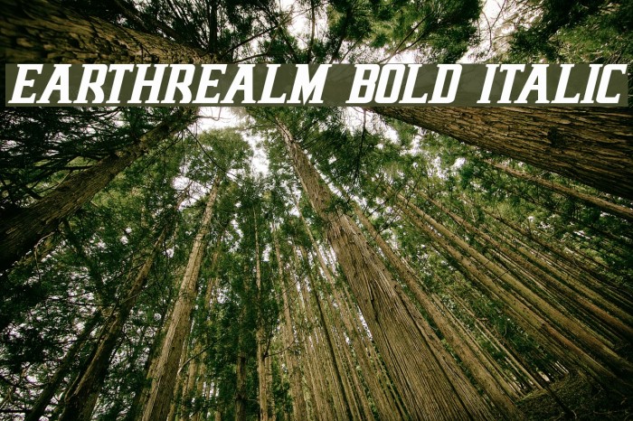 Earthrealm Bold Italic Font examples