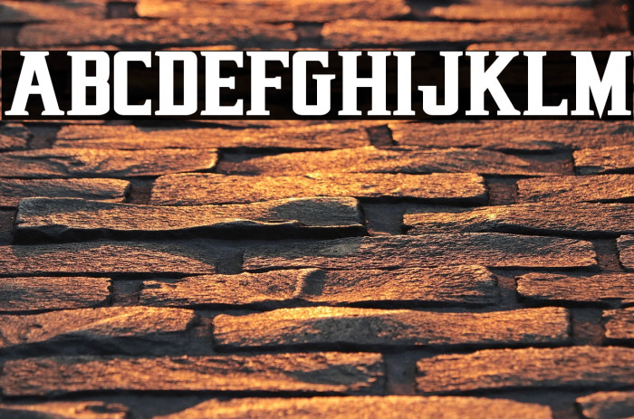 Earthrealm Bold Example 1