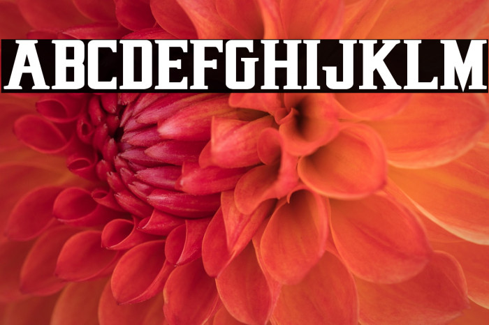 Earthrealm Bold Example 2