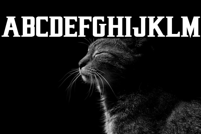 Earthrealm Bold Example 3