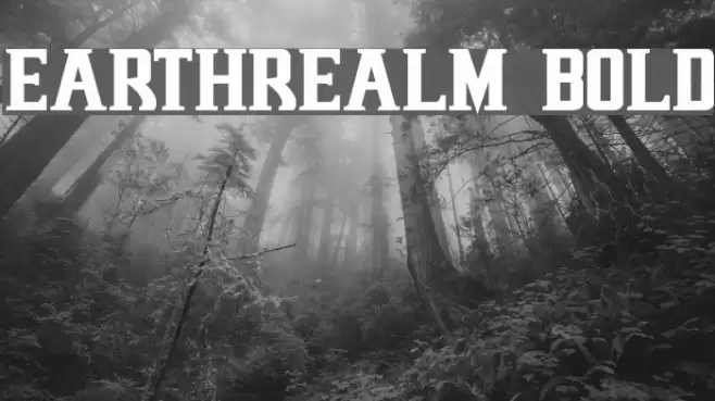 Earthrealm Bold Font examples