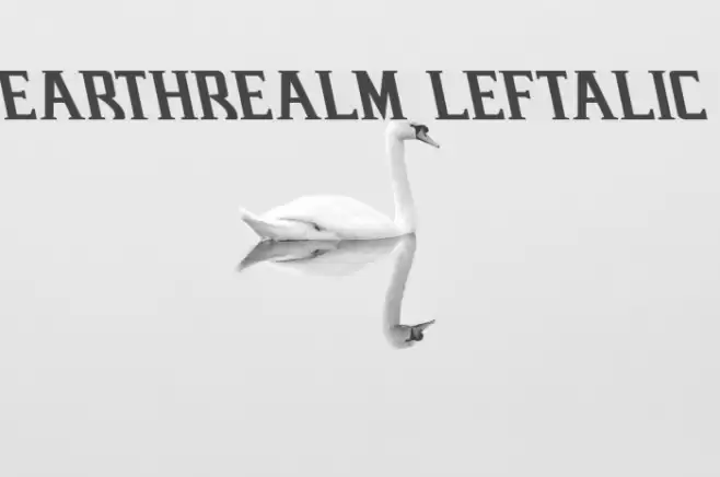 Earthrealm Leftalic Font examples