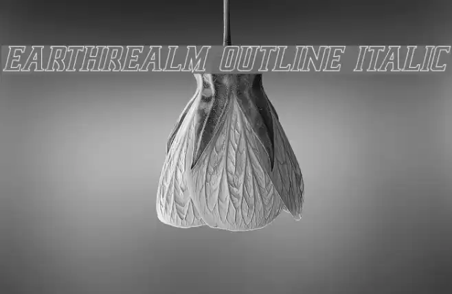 Earthrealm Outline Italic examples