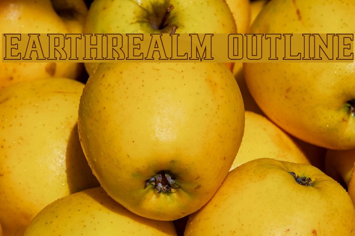 Earthrealm Outline Font examples