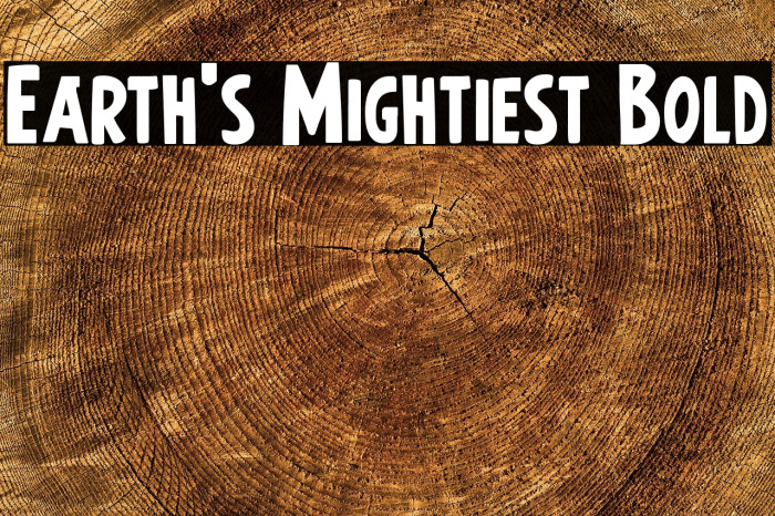 Earth's Mightiest Bold Example 1