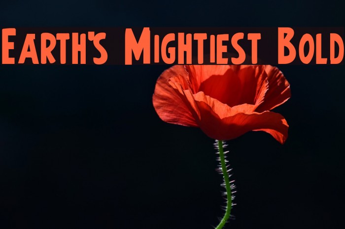 Earth's Mightiest Bold Font examples