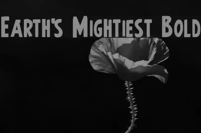 Earth's Mightiest Bold Example 2