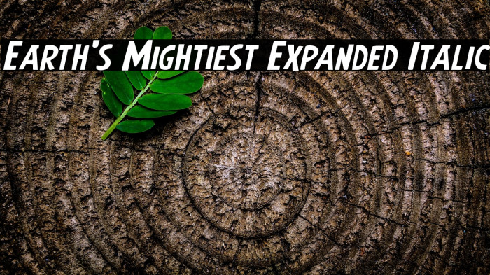 Earth's Mightiest Expanded Italic Example 1