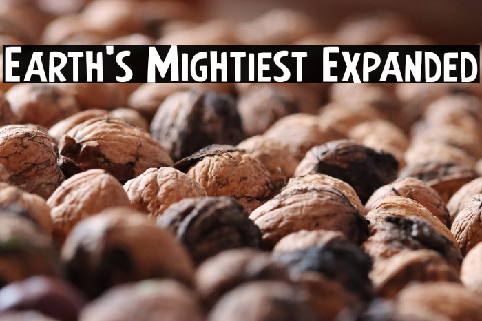 Earth's Mightiest Expanded Example 2