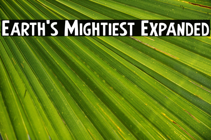Earth's Mightiest Expanded Example 3