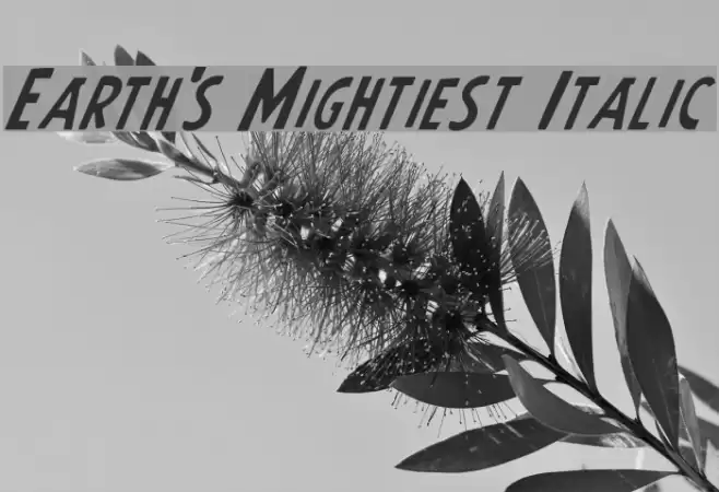 Earth's Mightiest Italic Font examples