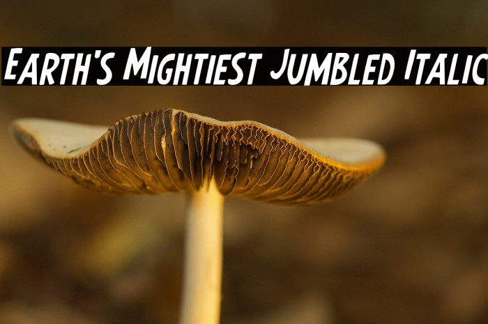 Earth's Mightiest Jumbled Italic Example 2