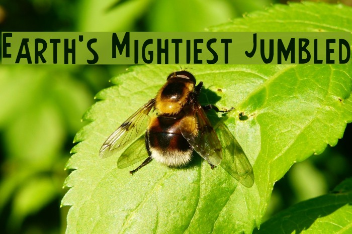 Earth's Mightiest Jumbled لخطوط تنزيل examples