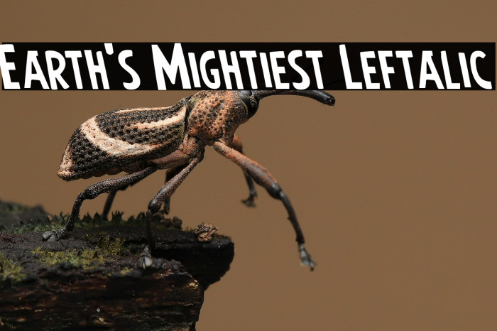 Earth's Mightiest Leftalic Example 3