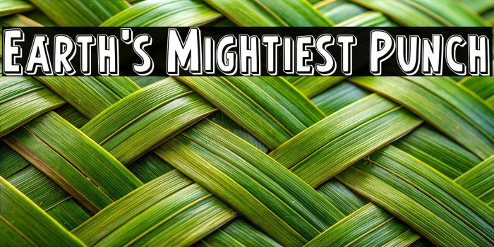 Earth's Mightiest Punch Example 2