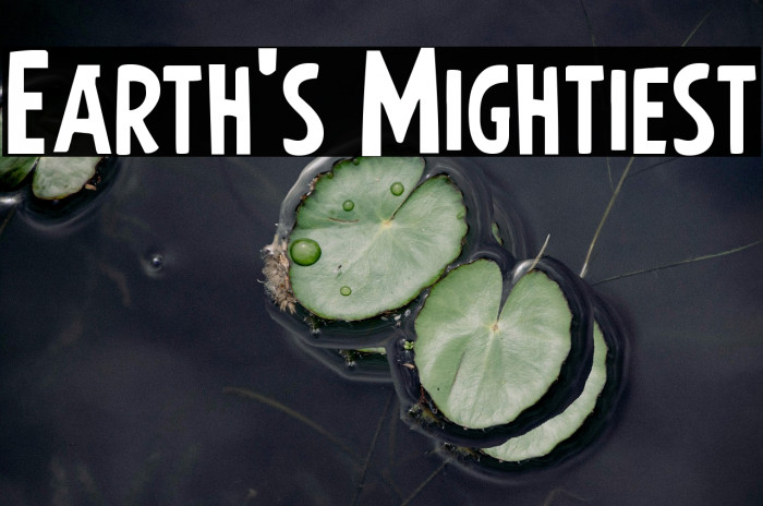 Earth's Mightiest Example 2