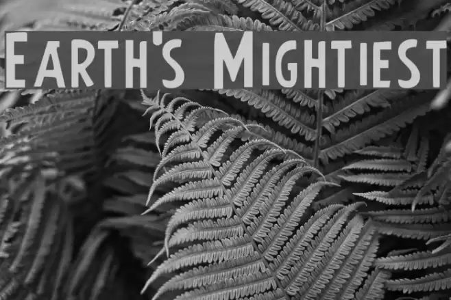 Earth's Mightiest Font examples